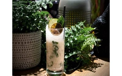 Pampas Highball