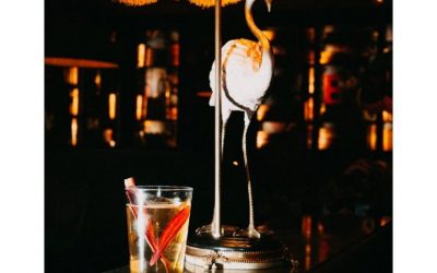 Wormwood Tonic