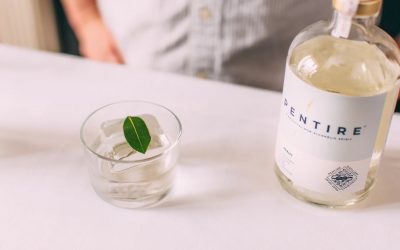 Pentire Adrift | Bay Martini