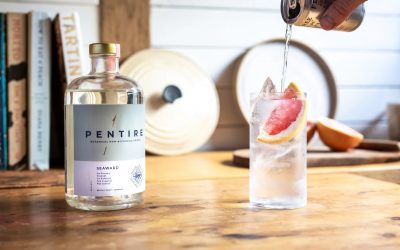 Pentire Seaward & Tonic | Perfect Serve