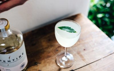 Pentire Adrift | Pentire Gimlet