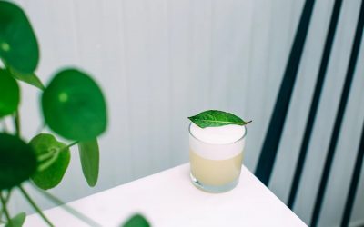 Pentire Adrift | Sea Sour