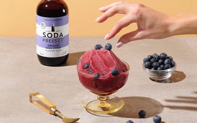 Berry Slushie