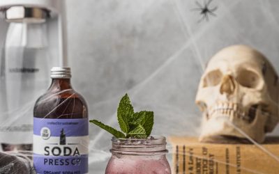 Bloodberry & Lime Soda Smash