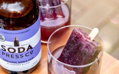 Blueberry & Lime Poptails